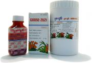 GOOSE - ZUZI