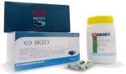 MOXY