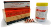 CLOXACILLIN SODIUM CAPSULES 500 mg.
