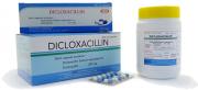 DICLOXACILLIN